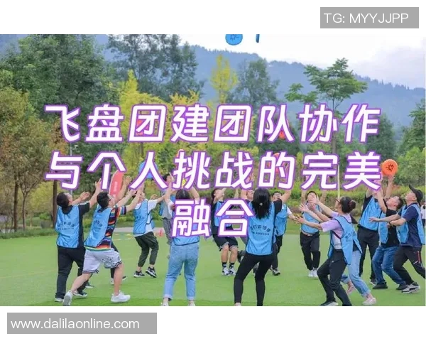 武汉飞盘队如何通过团队协作实现飞盘运动的变革与发展